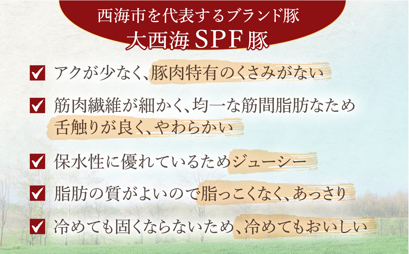 【12回定期便】大西海SPF豚 背ロースブロック 計1.3kg 訳あり ＜大西海ファーム [CEK117] 豚肉