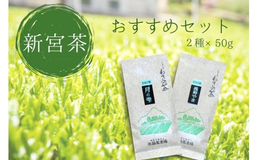 お茶 新宮 セット 新宮茶 おすすめ 2種 50g 100g 極上 煎茶 優しい 旨み 渋み 甘み さわやか 香り 力強い 四国中央市