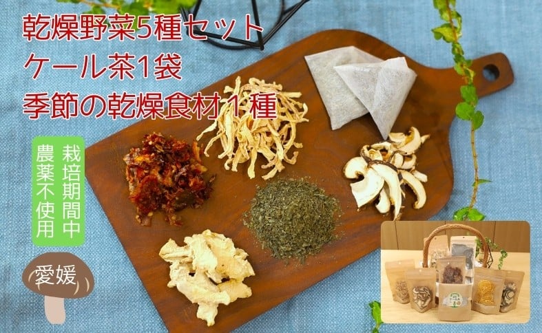 
            国産 乾燥野菜 5種セット ケール茶 1袋 季節の乾燥食材 1種 栽培期間中農薬不使用 野菜 フルーツ ドライ 味噌汁 炒め物 時短 遠藤青汁 愛媛｜B473
          