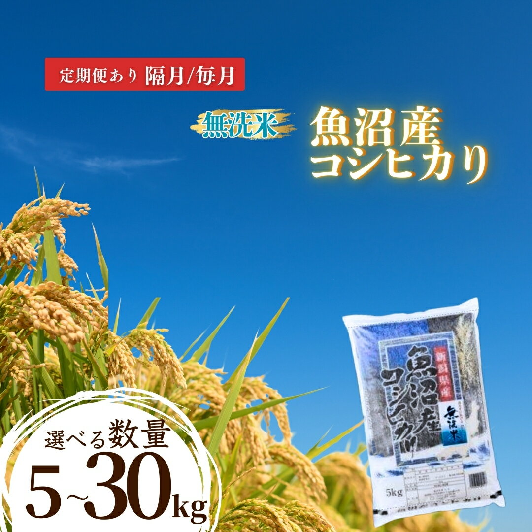 【ふるさと納税】令和7年産 先行予約 無洗米 魚沼産コシヒカリ 5kg/15kg/30kg 選べるkg・回数・定期便 米太 | 白米 精米 お米 魚沼 新潟県産 新米 先行予約 新米予約【0020-KT01SV00-01】