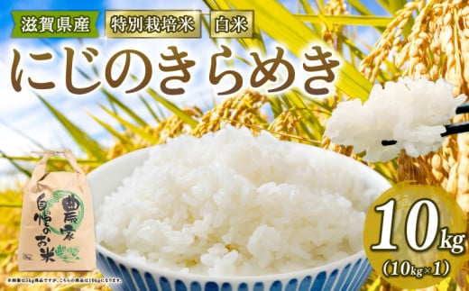 新米予約 特別栽培米 にじのきらめき 令和7年産 米 10kg 白米 ニジノキラメキ 2025年産 国産 農家直送 環境こだわり お試し用 小分け お米 こめ おこめ 新米 先行予約 農家直送 産地直送 滋賀県 竜王町
