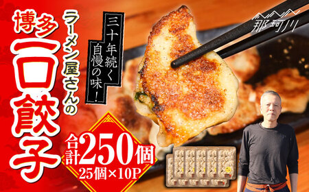冷凍 博多一口餃子 25個入り×10パック＜麺専科げんき＞那珂川市 餃子 ぎょうざ 冷凍餃子 冷凍餃子 博多 冷凍餃子 餃子 [GEG003]36000 36000円