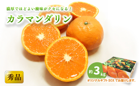 【2027年4月上旬頃から順次発送】カラマンダリン ＜秀品＞ 約3kg (M-L) ギフトBOX入り | みかん カラマンダリン 秀品 オレンジ 柑橘愛媛県 松山市 ココオ Koko'o【KK3111】