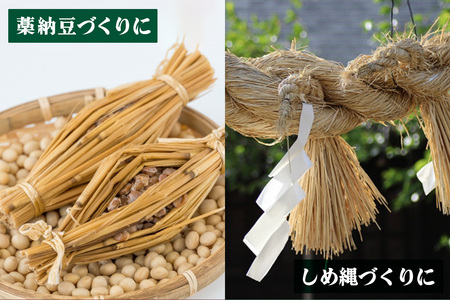 [先行予約] 稲わら・無農薬 2箱 [JAS有機認定又は転換中 日光ダイヤ舞の藁] 令和7年度｜2025年度 有機栽培稲わら 無農薬 オーガニック 国産 産地直送 わら納豆づくり しめ縄づくり 正月飾