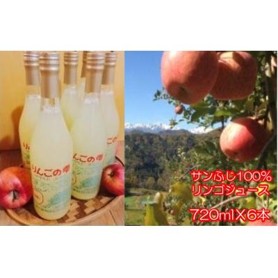 ふるさと納税 小川村 サンふじりんご100%ジュース720ml 6本*309