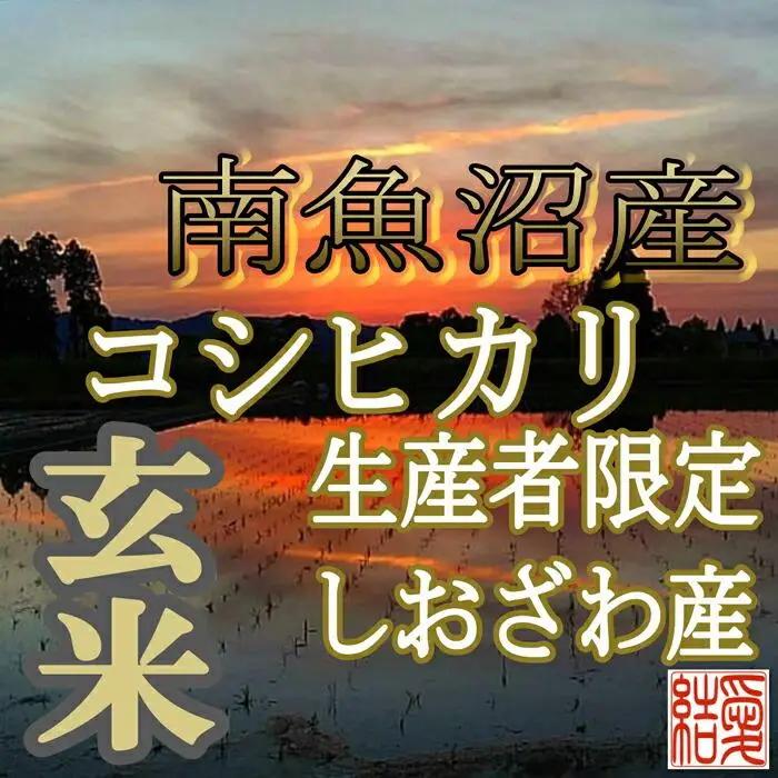 【令和7年産】【定期便】玄米 南魚沼しおざわ産コシヒカリ4Kg×12ヶ月【定期便 銘柄米 ブランド米 玄米 こしひかり コシヒカリ 魚沼産 新潟米 産地直送 お米 米 こめ コメ ご飯 御飯 ごはん】
