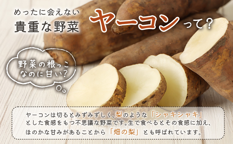 【北海道恵庭市産】余湖農園のヤーコン4kg【310014】_イメージ2