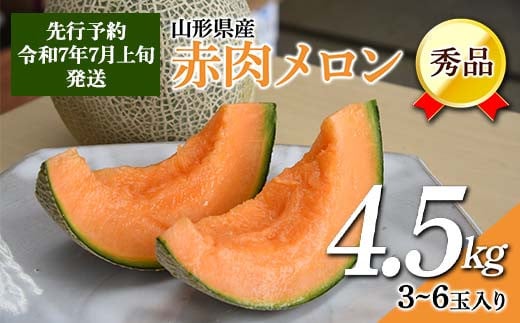 《先行予約 令和7年7月上旬発送》山形県産 赤肉メロン 4.5kg以上 (約3～6玉入り) FSY-2191