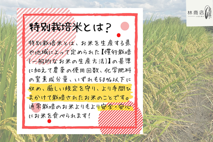 【定期便先行予約】【令和7年 1月～ 12ヶ月定期便】　特別栽培米　奈良県広陵町産ヒノヒカリ　白米5kg×12ヶ月 /// ひのひかり ヒノヒカリ ブランド米 大和米 白米 安心 安全 美味しい 人気