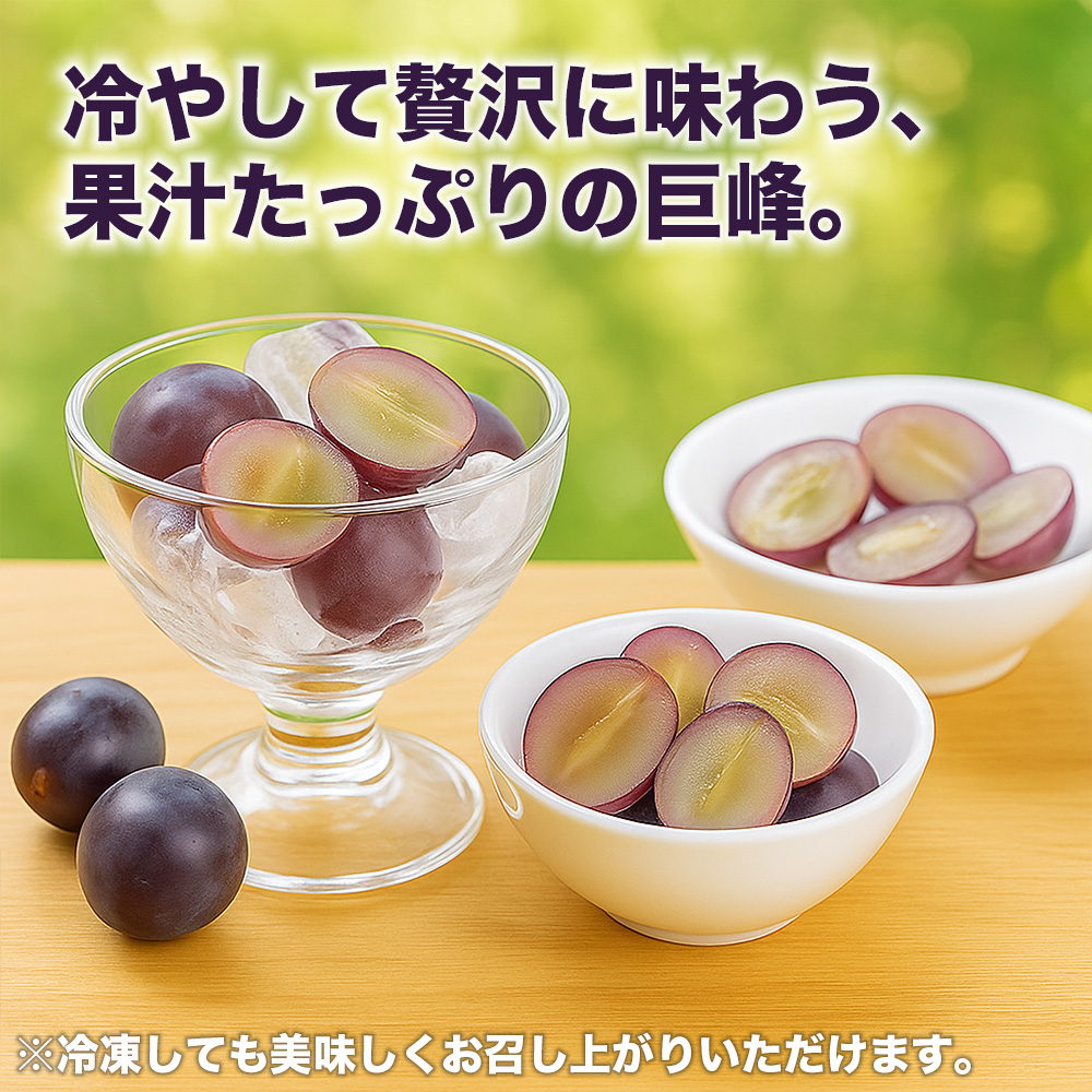 先行予約 巨峰 約2.4kg (8パック)【2026年7月下旬〜2026年8月下旬発送予定】きょほう フルーツ 果物 くだもの シャインマスカット ぶどう ブドウ 葡萄 国産 高級 大粒 ジューシー 