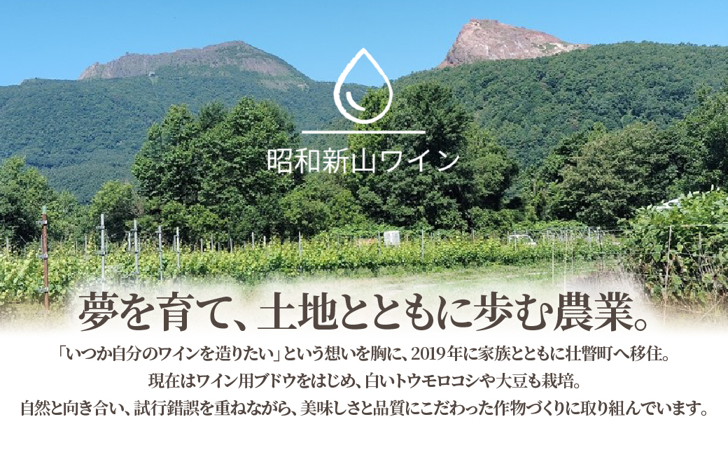 昭和新山ワイン　YAMANOBE BLANC 2023(ヤマノベブラン）白ワイン 辛口 壮瞥町産ぶどう100%  SBTQ012