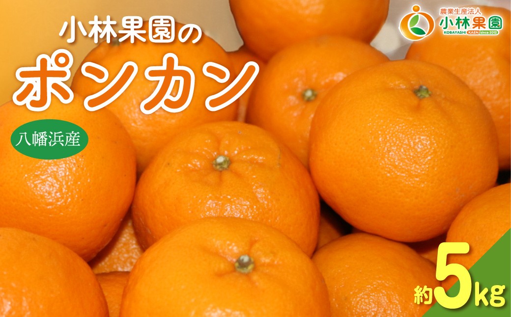 
                  【先行受付】小林果園のポンカン(約5kg)【C24-18】 YWTAD011
                