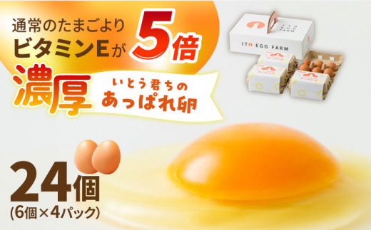 いとう君ちのあっぱれ卵 24個（6個×4P）/卵 たまご タマゴ 国産 ギフトBOX 朝ごはん 卵かけご飯 うみたて新鮮たまご /いとう養鶏場 [UAQ001]
