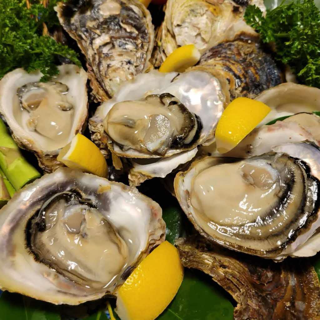 【先行予約 2025年7月20日より発送】奥尻島産養殖岩ガキ【Mサイズ】殻付き　20個入り（加熱食用）〜豊かな海が育てた海の宝石〜 OKUY002