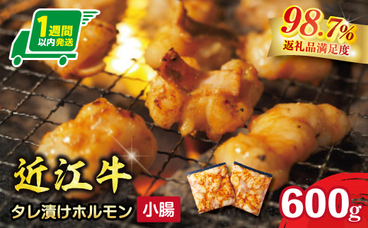 味付けホルモン　秘伝のタレ漬け　近江牛小腸　自家製ダレ　600g（300g×2）【FO73W】