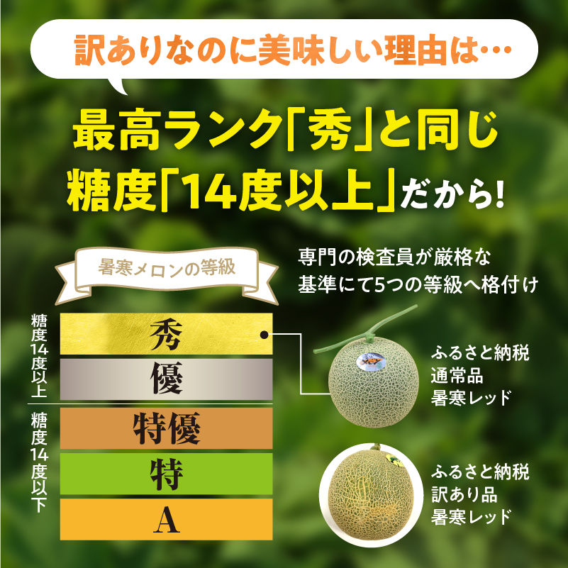 【令和8年産先行予約】【訳あり】北海道メロン 暑寒レッド 2玉 (3.2kg以上×1箱)《2026年9月より発送予定》ワケあり 家庭用 赤肉メロン わけあり 規格外 傷 不揃い くだもの フルーツ メ