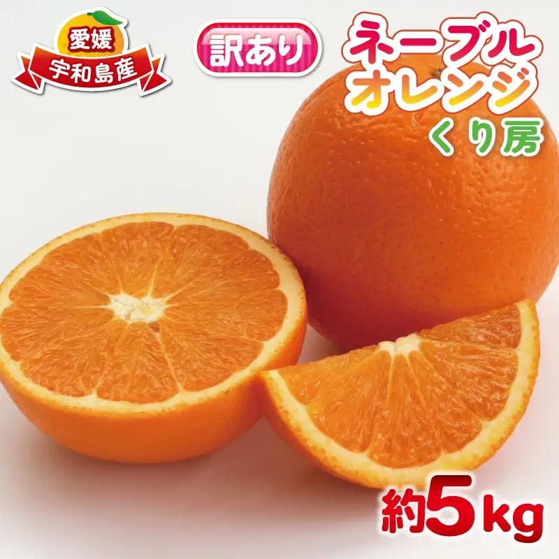 訳あり ネーブル オレンジ 約 5kg くり房 オレンジ B015-204009