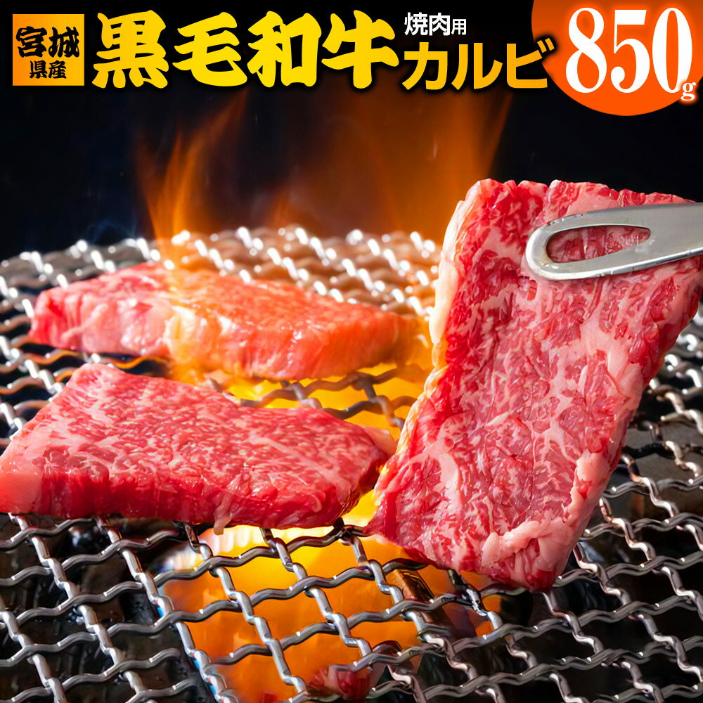【ふるさと納税】宮城県産 黒毛和牛カルビ焼肉用 850g｜国産 牛肉 焼き肉 焼肉 お肉 カルビ 和牛 キャンプ バーベキュー [0050]