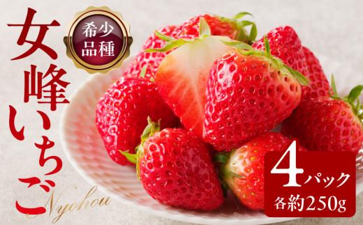 希少品種　女峰いちご4パック(各約250g)【2026年1月中旬～2026年6月上旬配送】 372013_T006-113J