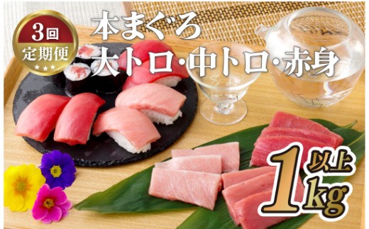 A140p 【全3回定期便 総計3kg】本マグロ (大トロ・中トロ・赤身)  計1kg以上 長崎県産 海鮮丼のタレ付き【本家永松家】マグロ まぐろ 鮪 大とろ 中とろ 赤身 刺身 海鮮丼 定期便