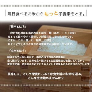 【選べる精米率】 新米 令和6年産 三重県産 コシヒカリ 5kg [ 白米 玄米 5分つき米 7分つき米 ]　三重県津市 5分つき米