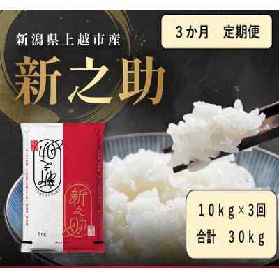 ふるさと納税 上越市 【発送月固定定期便】【10月より出荷予定】新潟県産 新之助 白米 10kg全3回