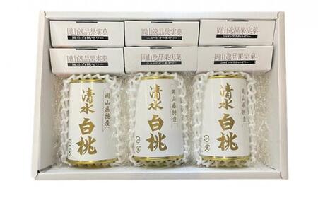 清水 白桃 缶詰 3缶 と 岡山 フルーツゼリー 6個詰合せ 吉英フルーツ [No.5220-1341]