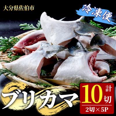 ふるさと納税 佐伯市 ブリカマ (計10切・2切×5P)