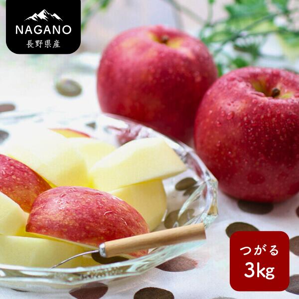 【ふるさと納税】りんご つがる（長野県産秀品）3kg／9月上旬～9月中旬頃配送予定 // 長野県 南信州 サンつがる りんご 果物 フルーツ MS04