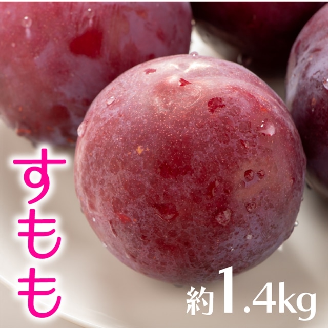 AB136.九州・福岡フルーツ王国より直送.すもも.約1.4kg／2027年6月配送