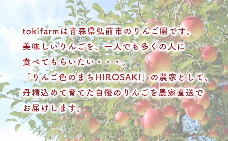 【2月発送】toki farm 家庭用 サンふじ 約5kg 訳あり【弘前市産・青森りんご】