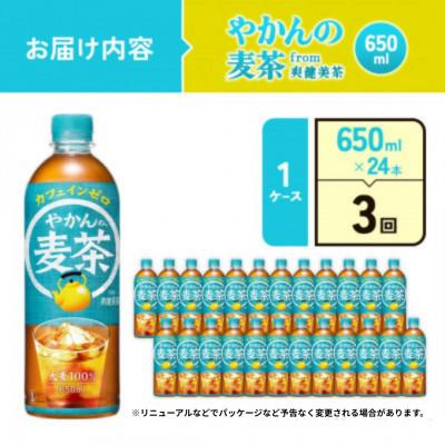 ふるさと納税 えびの市 【毎月定期便】やかんの麦茶 from 爽健美茶 PET 650ml 24本1ケース(えびの市)全3回 |  | 01
