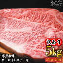 【ふるさと納税】【訳あり】博多和牛 サーロイン ステーキ セット 5kg（250g×20枚）＜株式会社MEAT PLUS＞那珂川市 牛肉 肉 黒毛和牛 ブランド牛 国産 BBQ バーベキュー [GBW053]150000 150000円