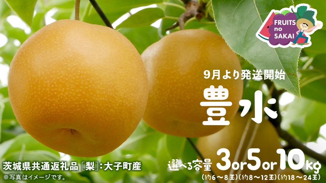 
            ＼ 選べる内容量 ／ 豊水 梨 3kg （6～8玉）/ 5kg （8～12玉）/ 10kg （18～24玉）【2025年9月より発送開始】（茨城県共通返礼品 [梨]：大子町産） なし 旬 お取り寄せ フルーツ 甘い ジューシー 和梨 時期
          