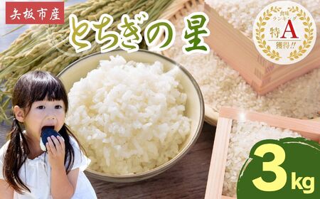 【2026年先行予約】ごはんが主役！矢板市産とちぎの星 白米 3kg お米 栃木県 矢板市