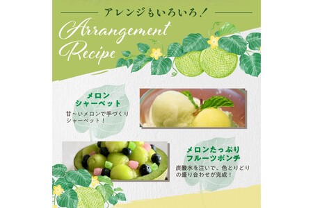 メロン／果物【先行予約／数量限定200】砂姫メロン2玉！大玉2L以上！女性に人気！（2024年6月下旬～発送）※マスクメロン（アールスメロン）系　フルーツ・メロン２玉・果物・ネットメロン