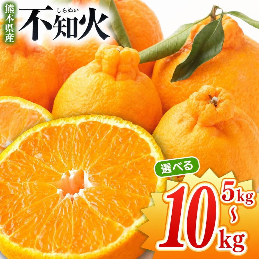 【ふるさと納税】 不知火 選べる内容量 不知火 約 5kg or 10kg 池田農園 | デコポン しらぬい フルーツ 和製 果物 熊本県産 熊本県 熊本 くまもと 和水町 なごみまち なごみ 柑橘類 果物 フルーツ 柑橘