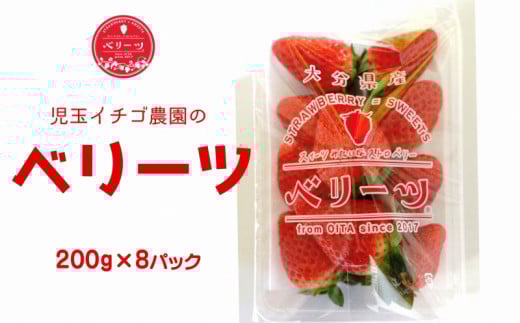 【12/15～1/19発送】大分県ブランドいちご　ベリーツ（200g×8パック）