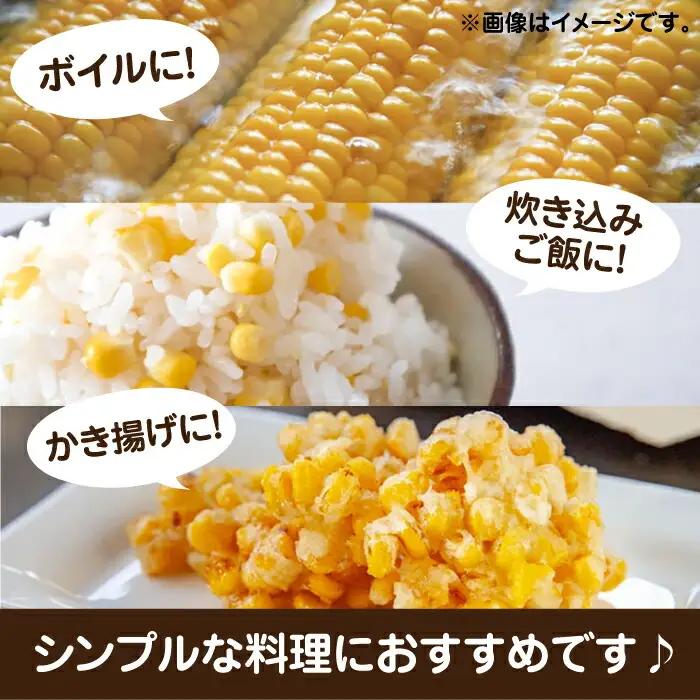 【先行予約】農家直送 朝どれ スイートコーン 白黄 食べ比べセット 約4kg 9-12本入[VBC002] 野菜 コーン