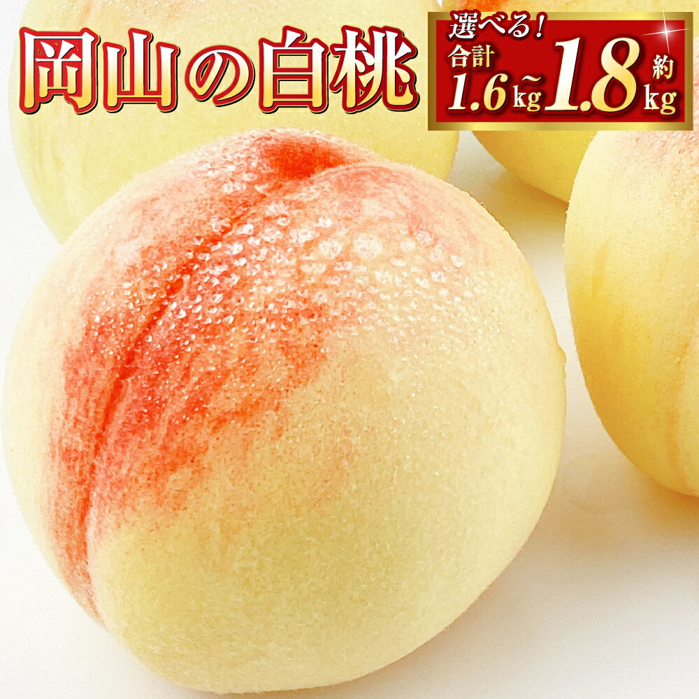【ふるさと納税】山の白桃 200g 以上× 8玉 250g 以上× 6玉 300g 以上× 6玉 ＜選べる容量＞桃 2025年 先行予約 岡 白桃 もも モモ 旬 晴れの国 おかやま 岡山県産 フルーツ王国 果物王国 果物 くだもの フルーツ デザート おやつ【2025年9月上旬～10月下旬 発送予定】
