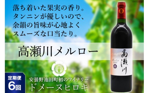 【6回 定期便 】【落ち着いた果実の香り】 赤 ワイン 高瀬川メルロー 750ml×1本 [ヴィニョブル安曇野 DOMAINE HIROKI 長野県 池田町 48110596] 赤ワイン お酒 酒