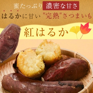 【A62001】＜2023年11月以降より発送予定＞鹿児島県肝付町産完熟さつまいも「紅はるか」冷凍焼きいも(計2.5kg・約500g×5袋) 鹿児島 国産 紅はるか べにはるか 焼き芋 焼芋 やきいも