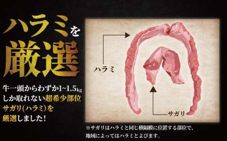 【湘南ハラミ】 計 1.3kg以上 【 牛ハラミ TKG025 】