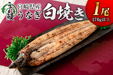 「こだま鰻」宮崎県産 うなぎ白焼き（1尾）170g以上 国産 真空パック【B660】