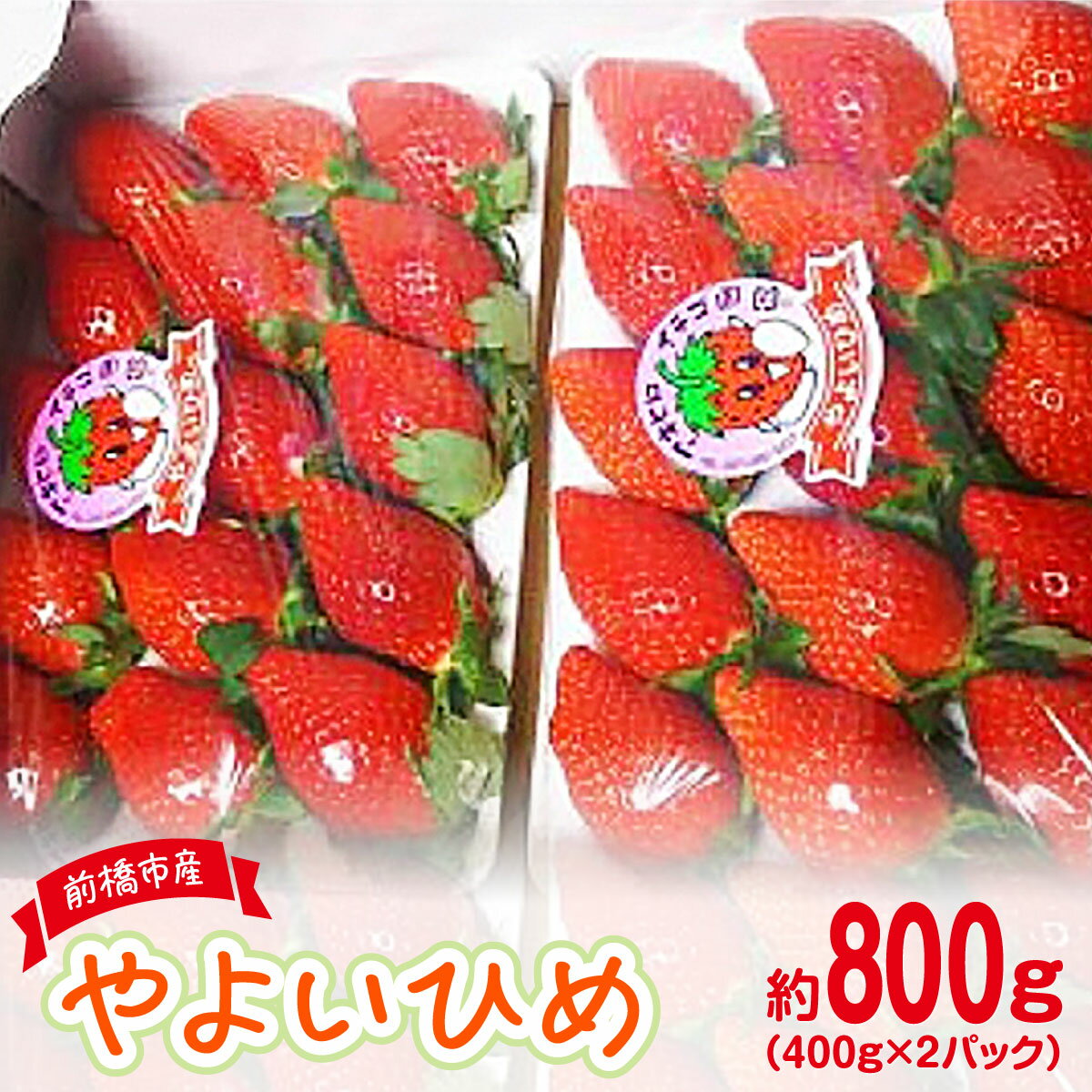 【ふるさと納税】やよいひめDX 約400g ×2パック（箱入り）800g｜ 朝採れ やみつき高品質 たっぷり 贈答用 新鮮 完熟 いちご 旬 苺 ストロベリー 高級 産地直送 果汁 甘い あまい 人気 高評価 高糖度 ごほうび プレゼント 群馬県 前橋市 R-20