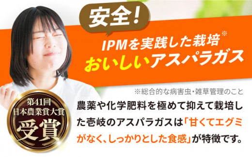 壱岐産 アスパラガス 1kg（L〜2Lサイズ）《壱岐市》【壱岐市農業協同組合】[JBO004] 野菜 旬 春野菜 夏野菜 新鮮 産地直送 アスパラ 冷蔵配送 季節の野菜 グリーンアスパラガス 1300