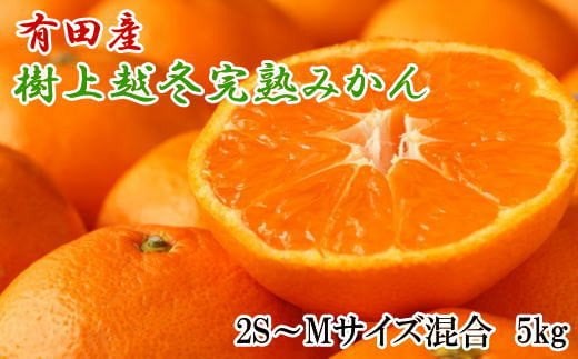 
【濃厚・まろやか】有田産樹上越冬完熟みかん5kg（2S～Mサイズ混合・秀品）　※2025年1月下旬頃～2025年2月中旬頃発送
