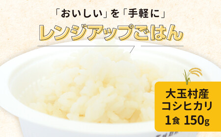 パックライス 150ｇ コシヒカリ × 40個 パックライス パックライス パックライス