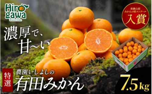 有田みかん 特選 7.5kg【 創業120年 農家直送 】【isy004-r-7d5C】