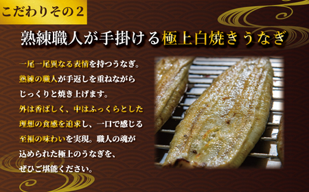 国産うなぎ 白焼き 3枚 約120g×3 定期便6回 うなぎ うなぎ うなぎ うなぎ うなぎ 石毛川魚店